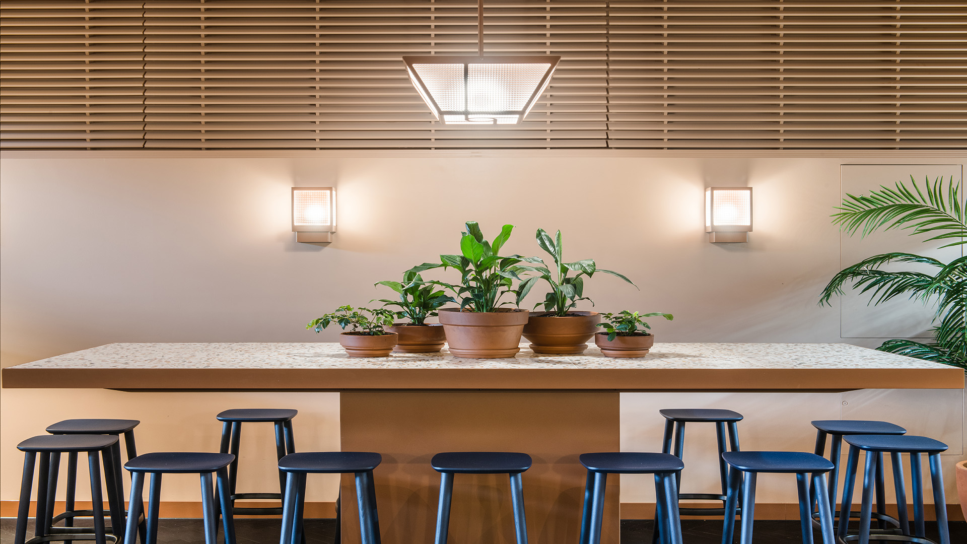 -2018-11-05 Cafe Rustica-4561