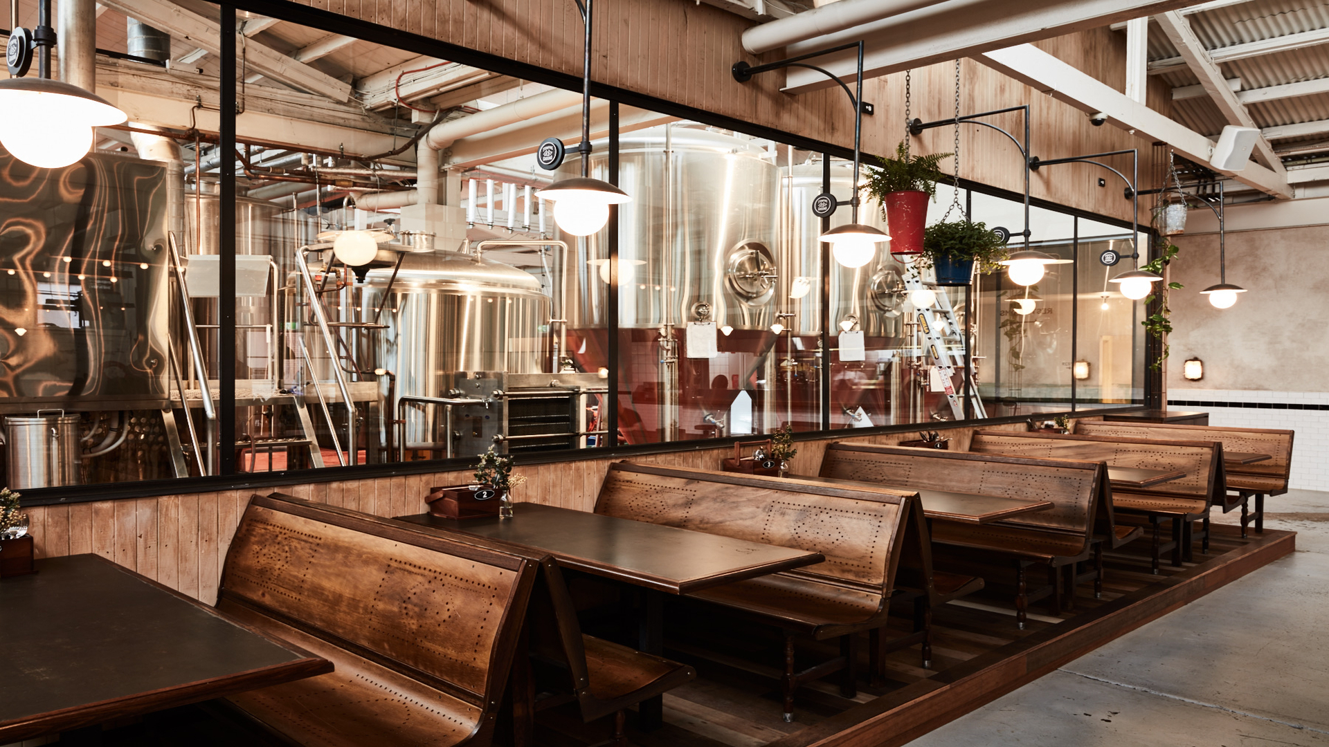 Webp.net-resizeimage-2